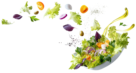 Accompagnement nutritionnel personnalisé